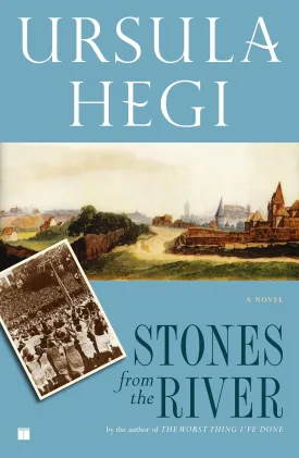 Stones from the River Paperback  March 1, 1995